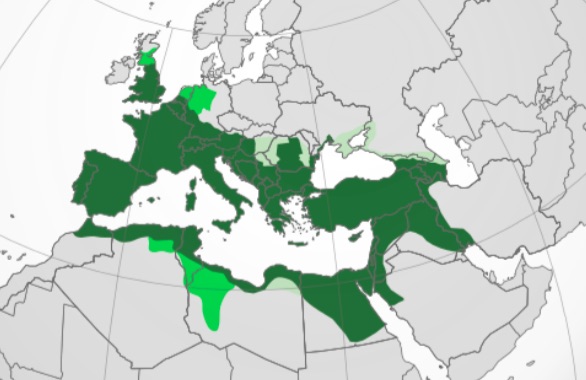 ローマ帝国は過大評価であり西洋文明でなく地中海文明 古代ギリシアも 俺らについて